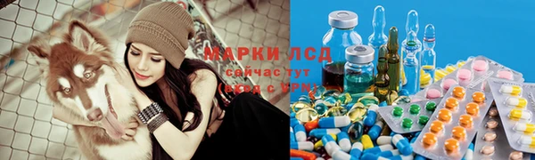гидропоника Горно-Алтайск