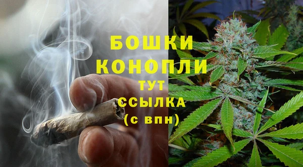 гидропоника Горно-Алтайск