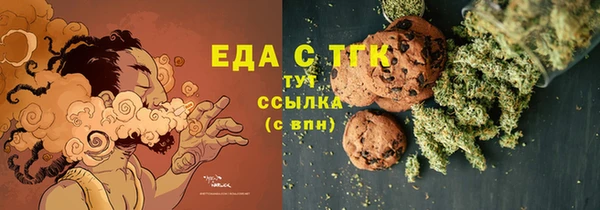спиды Горняк