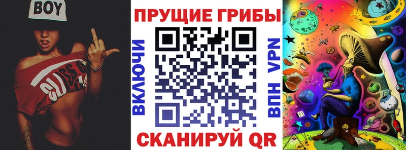 Псилоцибиновые грибы Psilocybe  Купить где  Кирово-Чепецк 